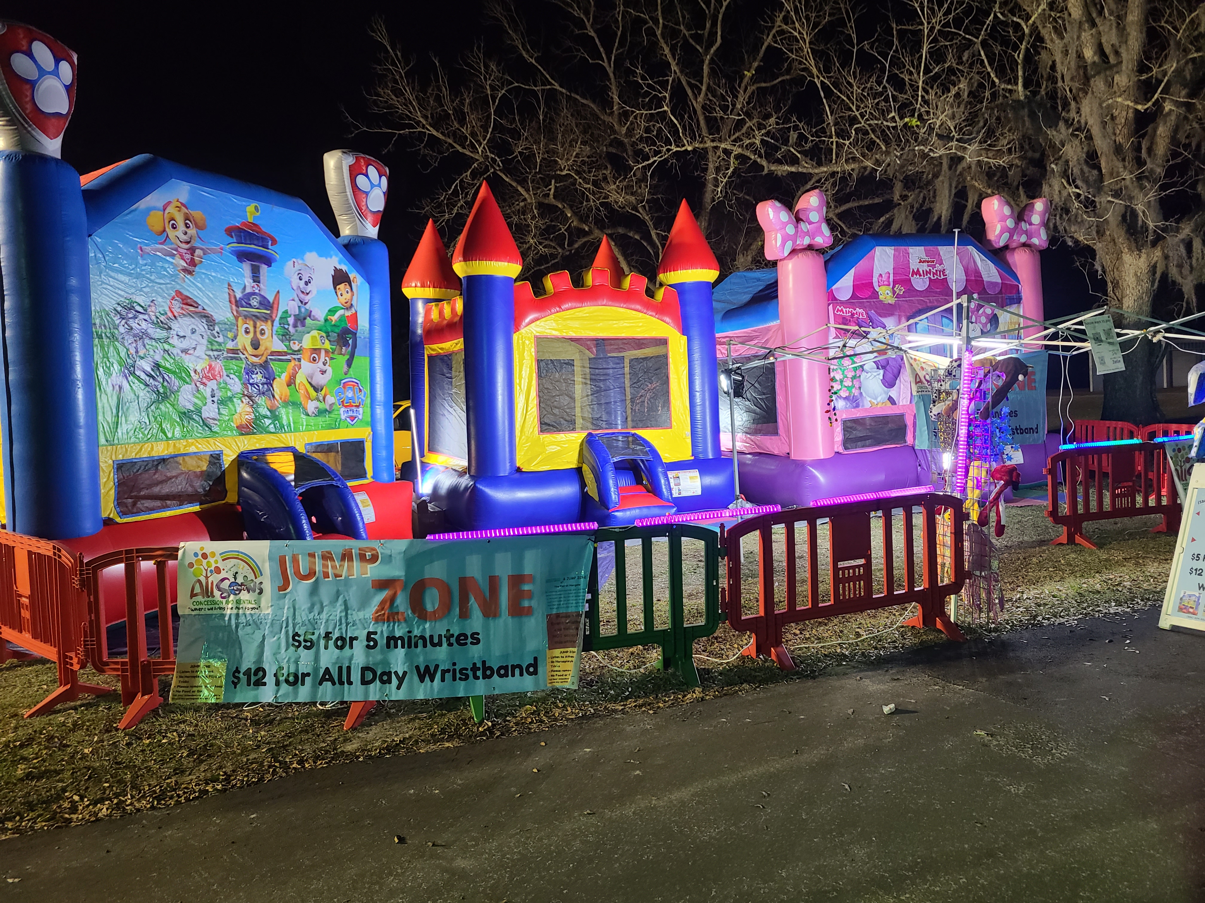 Mickey mouse bouncy on rent near me